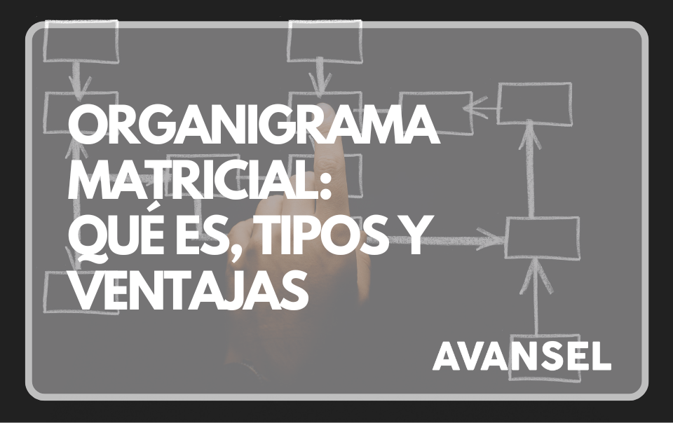 Organigrama Matricial: Qu茅 es, Tipos y Ventajas 5 Organigrama Matricial: Qu茅 es, Tipos y Ventajas
